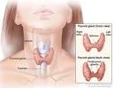 Lenvatinib (Lenvima) Chemotherapy Drug Information