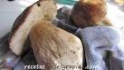 Limpiar Boletus - Conservar Boletus - Congelar Boletus