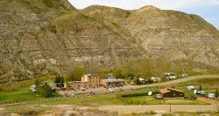 Image result for wayne alberta