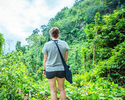 Hikers trekking through the dense jungle foliage in Cambodia