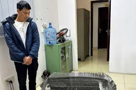 Báo VietNamNet - News update