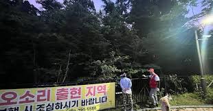 조선일보 - News update