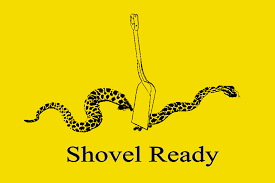Image result for gadsden flag