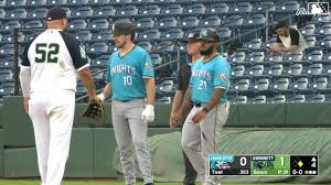 White Sox - Twins