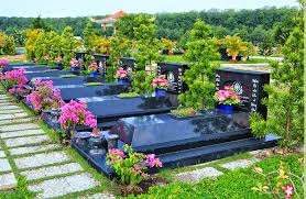 Kết quả h&igrave;nh ảnh cho vươn hoa nghĩa trang điện bi&ecirc;n