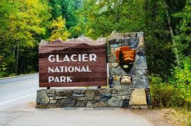 Apparent bear attack kills missing hiker in Montana's Glacier National Park