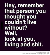 The Most Funny Quotes Ever - the most funniest quotes and sayings ... via Relatably.com