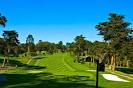 Presidio Golf Course San Franciscoaposs Favorite Holes of Golf