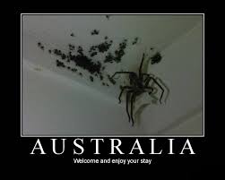Image result for welcome to the internet meme