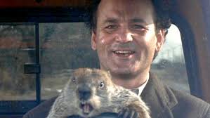Image result for puxatony phil
