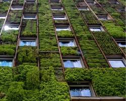 Imagem de Edifício verde