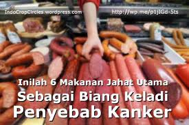 Image result for kanker