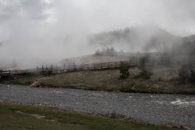 Yellowstone grizzly bear attack site was closed to spring hiking until 2024 to reduce human-grizzly conflicts