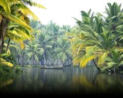 Image of Alappuzha backwaters in rain