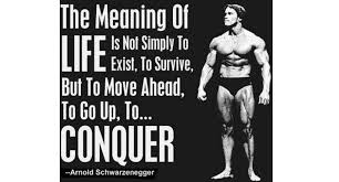 BODYBUILDING MOTIVATIONAL QUOTES-2 - bfzhealth.com via Relatably.com