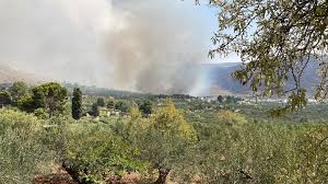ilSicilia.it - News update