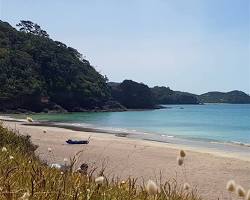Image of Whananaki Beach, New Zealand