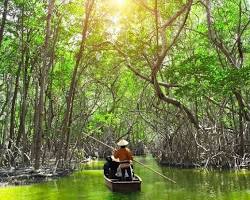 Image of Mangrove Forest Tours, Andaman