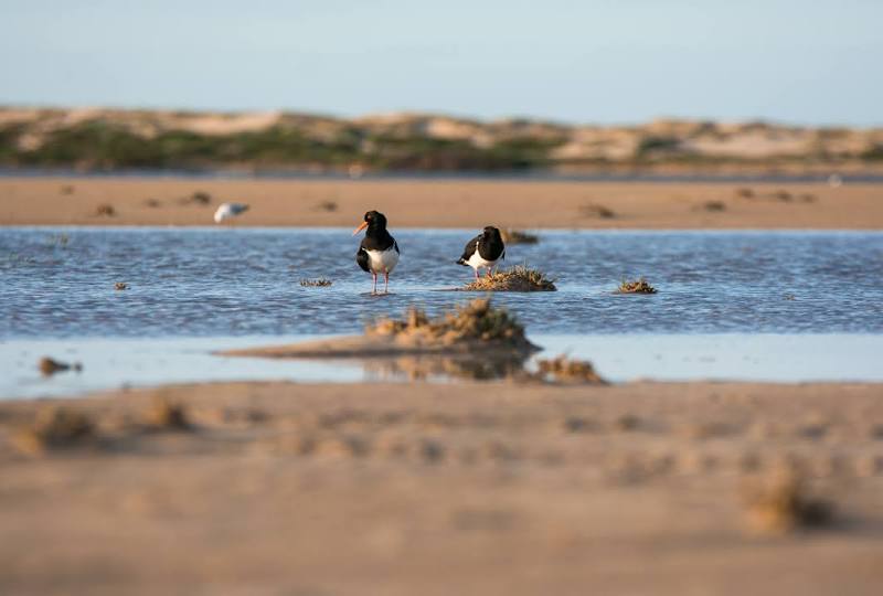 Coorong National Park