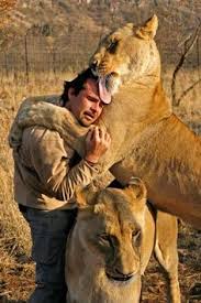 Kevin Richardson-Lion Whisperer on Pinterest | Kevin Richardson ... via Relatably.com