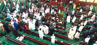 Image result for nigeria house of representatives