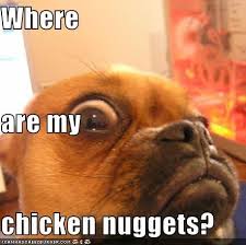 Image result for funny chicken pictures