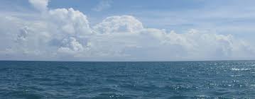 Image result for SEA