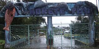 Resultado de imagen de morete puyo