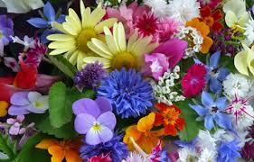Image result for edible flowers