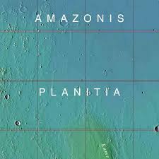 Picture of Amazonian