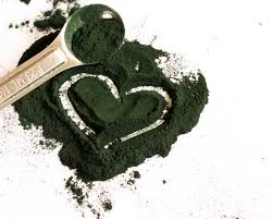 Image result for spirulina