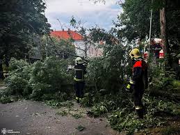 ГУ ДСНС України у Закарпатській області - News update