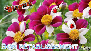 Résultat de recherche d'images pour "gif retablissement"