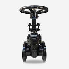 Gate Valve (ANSI) - EMS Valve