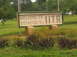 Image result for iita ibadan