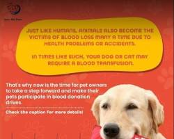 Image of Tamil Nadu Veterinary and Animal Sciences University blood donation drives