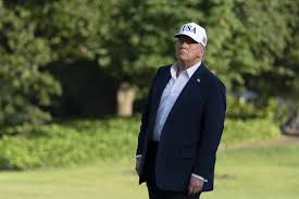 Politico - News update