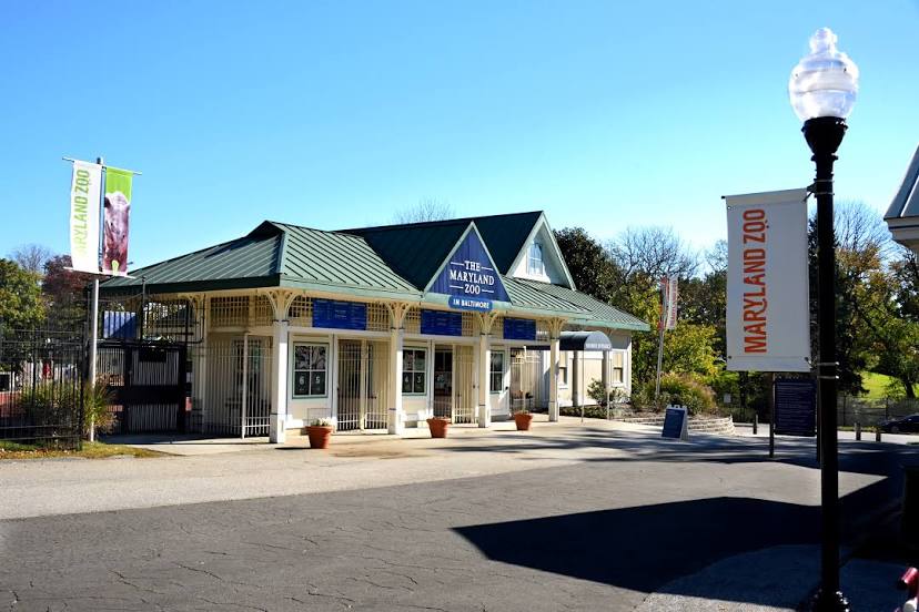 Baltimore movers