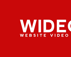 Image of Wideo website logo