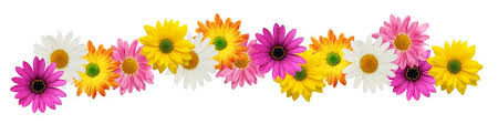 Image result for Spring Flowers