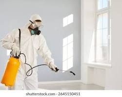 Image de désinsectiseur professionnel pulvérisateur protection cuisine restaurant photo libre de droit