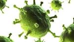  Indian vaccine manufacturer receives WHO prequalification for ROTAVAC