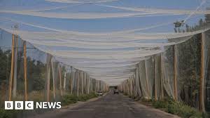 BBC - News update