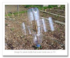 Resultado de imagem para bird scarer from china