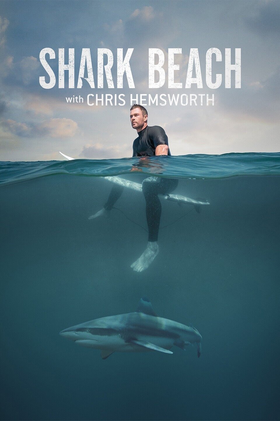 Download Shark Beach with Chris Hemsworth Dual Audio [Hindi+English] BluRay Print 720p