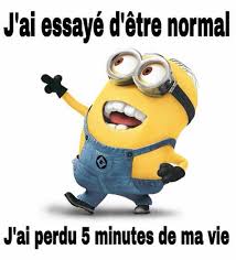 Résultat de recherche d'images pour "citation drole avec les minion"
