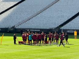 Bastidores: entenda por que o novo gramado da Arena incomodou os jogadores do Corinthians