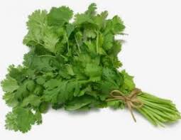 Image result for tumbuhan herbal untuk penyakit darah tinggi