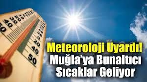 Muğla Yenigün Gazetesi - News update