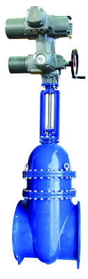 VAG KOS Gate Valve, oval type, with rising stem: metallic ...